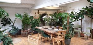 Amazing selection of outdoor and indoor plants! at W6 Garden Centre Cafe in West London