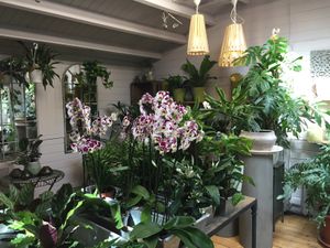 W6 Garden at W6 Garden Centre Cafe in West London