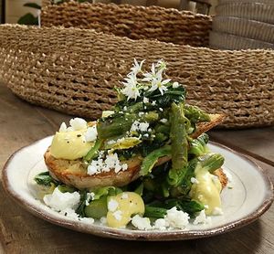 seasonal salads at W6 Garden Centre Cafe in West London