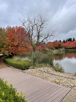Beautiful grounds  at Zen Oasis in Berrima