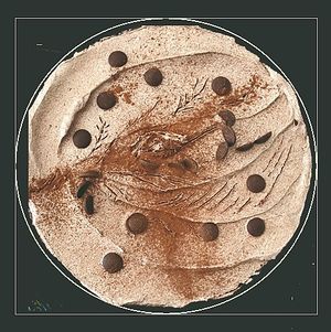 Art Cake at Alchemy Vegan in Chiang Mai