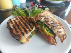 Mediterranean panini at Alchemy Vegan in Chiang Mai