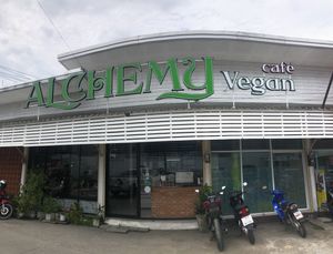   at Alchemy Vegan in Chiang Mai