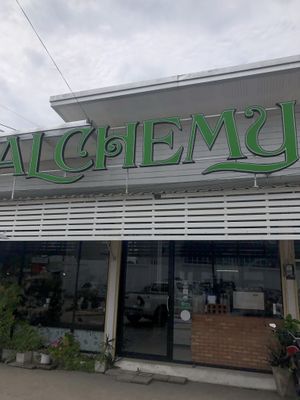   at Alchemy Vegan in Chiang Mai