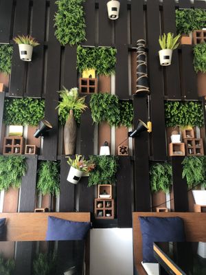   at Alchemy Vegan in Chiang Mai