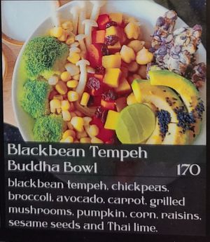  at Alchemy Vegan in Chiang Mai