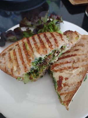 Pesto panini at Alchemy Vegan in Chiang Mai