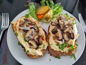 Hummus and mushrooms on toast at Alchemy Vegan in Chiang Mai