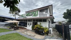   at Alchemy Vegan in Chiang Mai