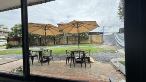   at Alchemy Vegan in Chiang Mai