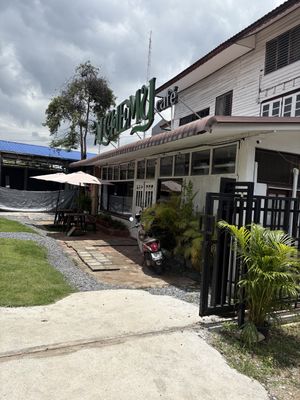   at Alchemy Vegan in Chiang Mai