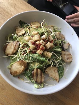   at Yes Vegan in Pattaya