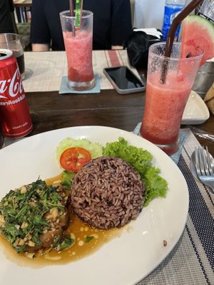 Vegan chicken with basil leave sauce and rice  at Yes Vegan in Pattaya