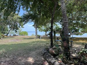   at Baja Taco in Koh Lanta