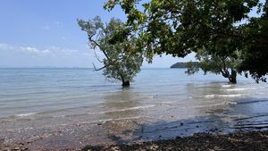   at Baja Taco in Koh Lanta