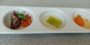 Appetizer, very sour at elemen 元素 - HarbourFront in Central Singapore