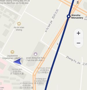 Maps.me location at Jujube Tree 枣子树素餐厅 - 成都铂金城店 in Chengdu