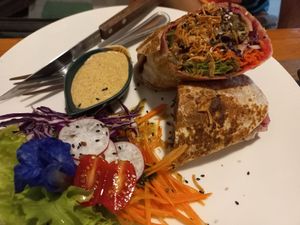 Falalel wrap at Pure Vegan Heaven @Freeative in Chiang Mai