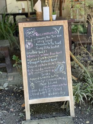 daily menu  at Pure Vegan Heaven @Freeative in Chiang Mai