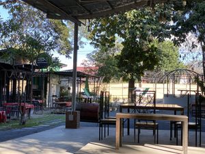 view from outside to other restaurants and bars  at Pure Vegan Heaven @Freeative in Chiang Mai