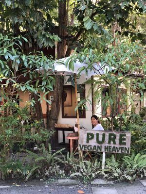   at Pure Vegan Heaven @Freeative in Chiang Mai