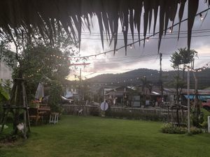  at Pure Vegan Heaven @Freeative in Chiang Mai