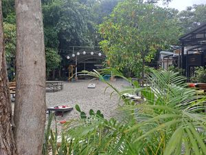 It is in a sort of forest ;) at Pure Vegan Heaven @Freeative in Chiang Mai