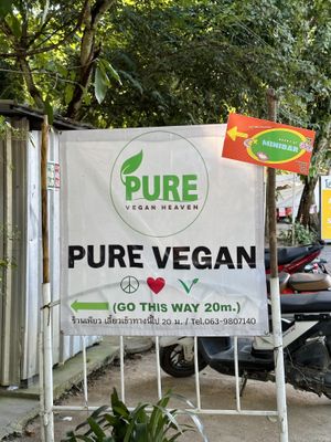   at Pure Vegan Heaven @Freeative in Chiang Mai