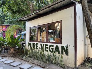   at Pure Vegan Heaven @Freeative in Chiang Mai