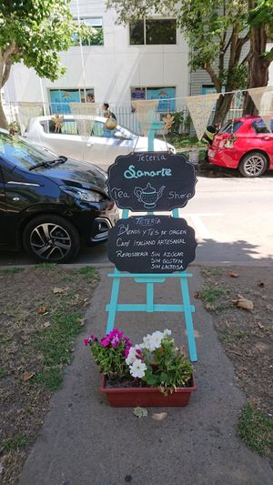 Teteria that also serves lunch  at Teteria Sanarte in Vina Del Mar