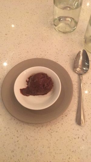 The chocolate sorbet is vegan! And good! at Shaya Restaurant in New Orleans
