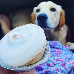 . at Great Nature Vegetarian Snacks and Grocery in Christies Beach