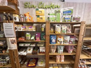   at Tente En Pie in Fuerteventura