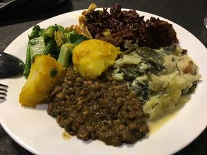 Selection of the warm and raw dishes - plate came to £10 at Vantra Vegan in London