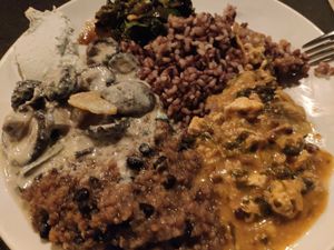 Buffet at Vantra Vegan in London