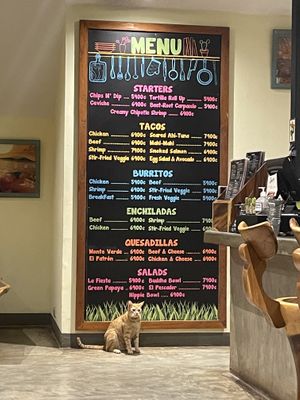   at Green Papaya in Tamarindo