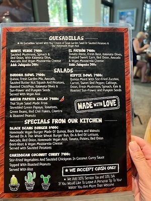  at Green Papaya in Tamarindo