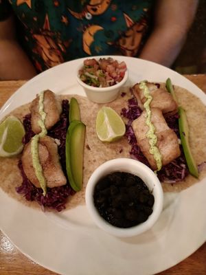  at Green Papaya in Tamarindo