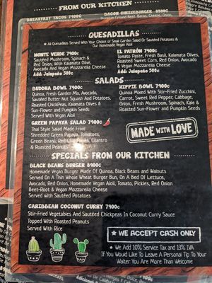 Vegan menu at Green Papaya in Tamarindo