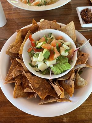   at Green Papaya in Tamarindo