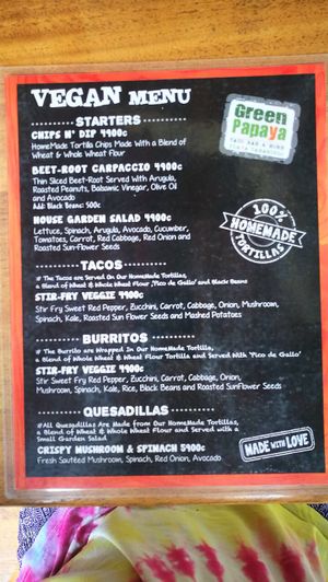 Vegan menu #1 at Green Papaya in Tamarindo