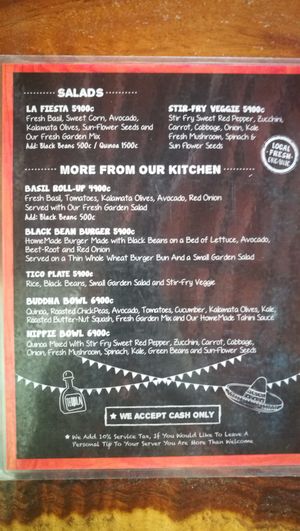 Vegan menu #2 at Green Papaya in Tamarindo