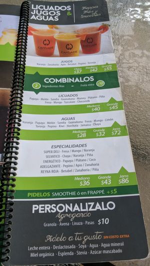 lots of fresh and good quality juice options at Cafe Jade in Palenque