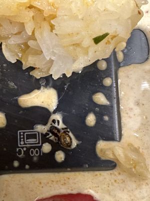 Not so pleasant surprise   at V Secret Street Food - Food Stall in Chiang Mai