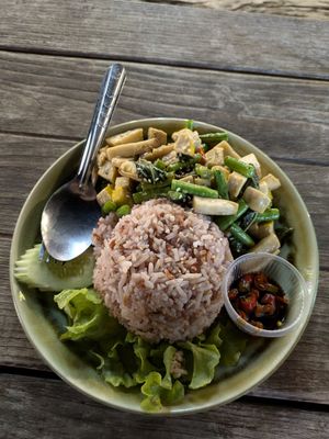 Krapow Tofu with Rice at V Secret Street Food - Food Stall in Chiang Mai