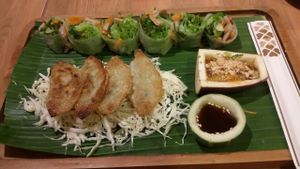 vegan gioza and fresh spring rolls at V Secret Street Food - Food Stall in Chiang Mai