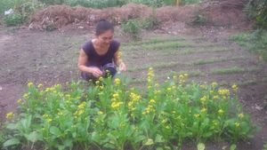 in our garden at V Secret Street Food - Food Stall in Chiang Mai