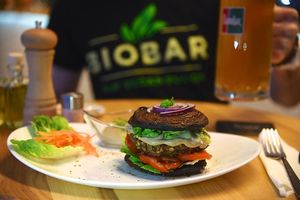 burger at BioBar Vitarian in Bratislava