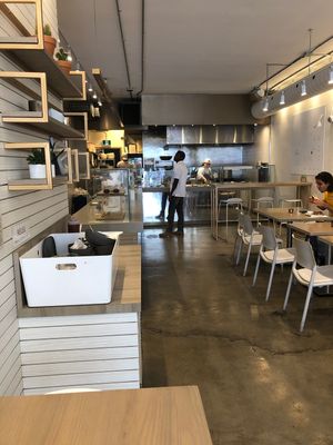 Casual vegan at Parka Food Co. in Toronto