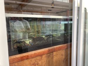 Lobster in the aquariums restaurant  at Belin Restaurante in Gran Canaria